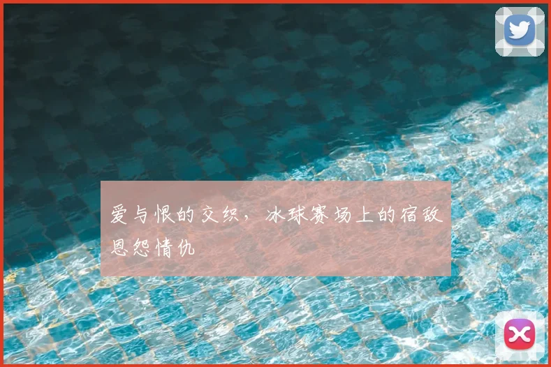 爱与恨的交织,冰球赛场上的宿敌恩怨情仇